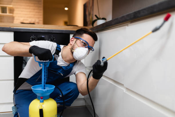 Best Affordable Pest Control Services  in Maxton, NC