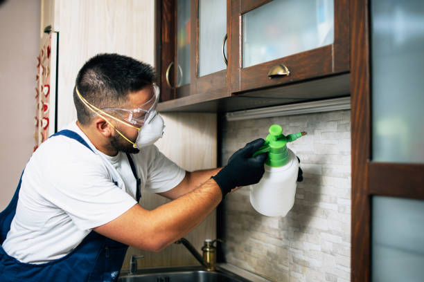 Best Affordable Pest Control Services  in Maxton, NC