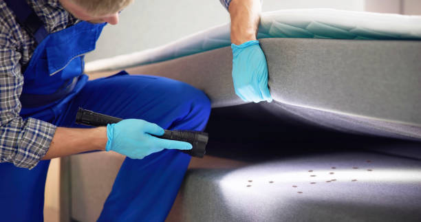 Best Wasp Removal Services  in Maxton, NC