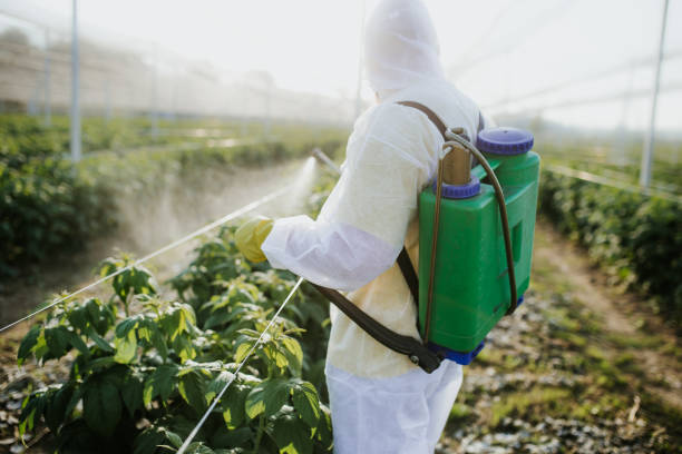 Best Wildlife Control Services  in Maxton, NC